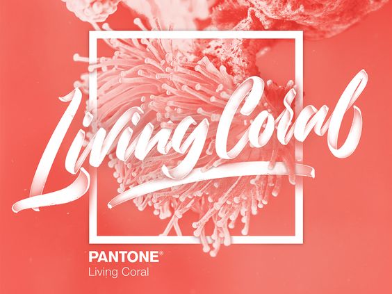 La couleur de l’année pour sa décoration de mariage